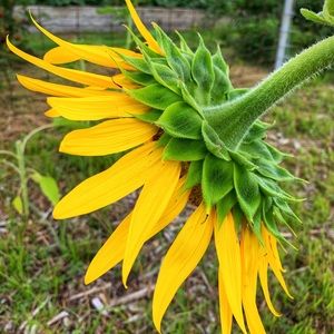 Meet your Posher, Lora